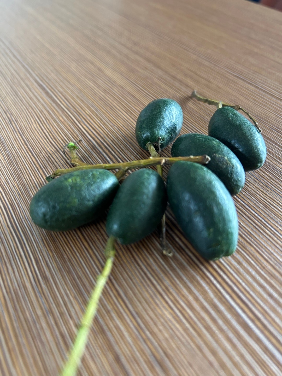 山桃,纯野生的山里植物,尝一个,苦中回甜,还儿时的味道.