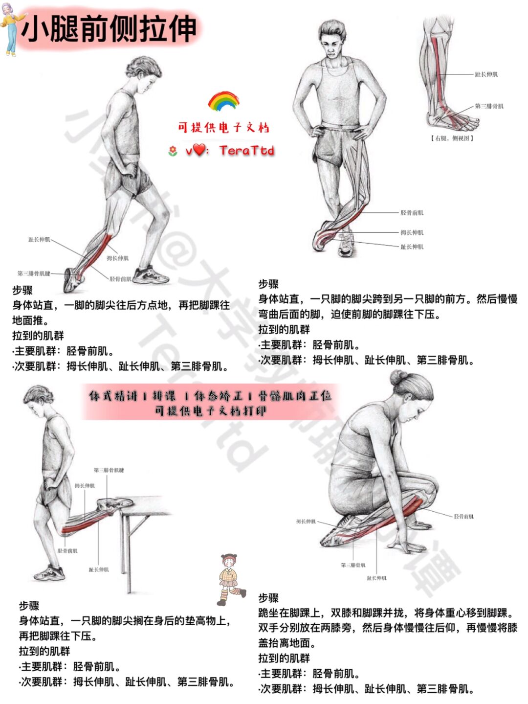 小腿部拉伸动作图解图片