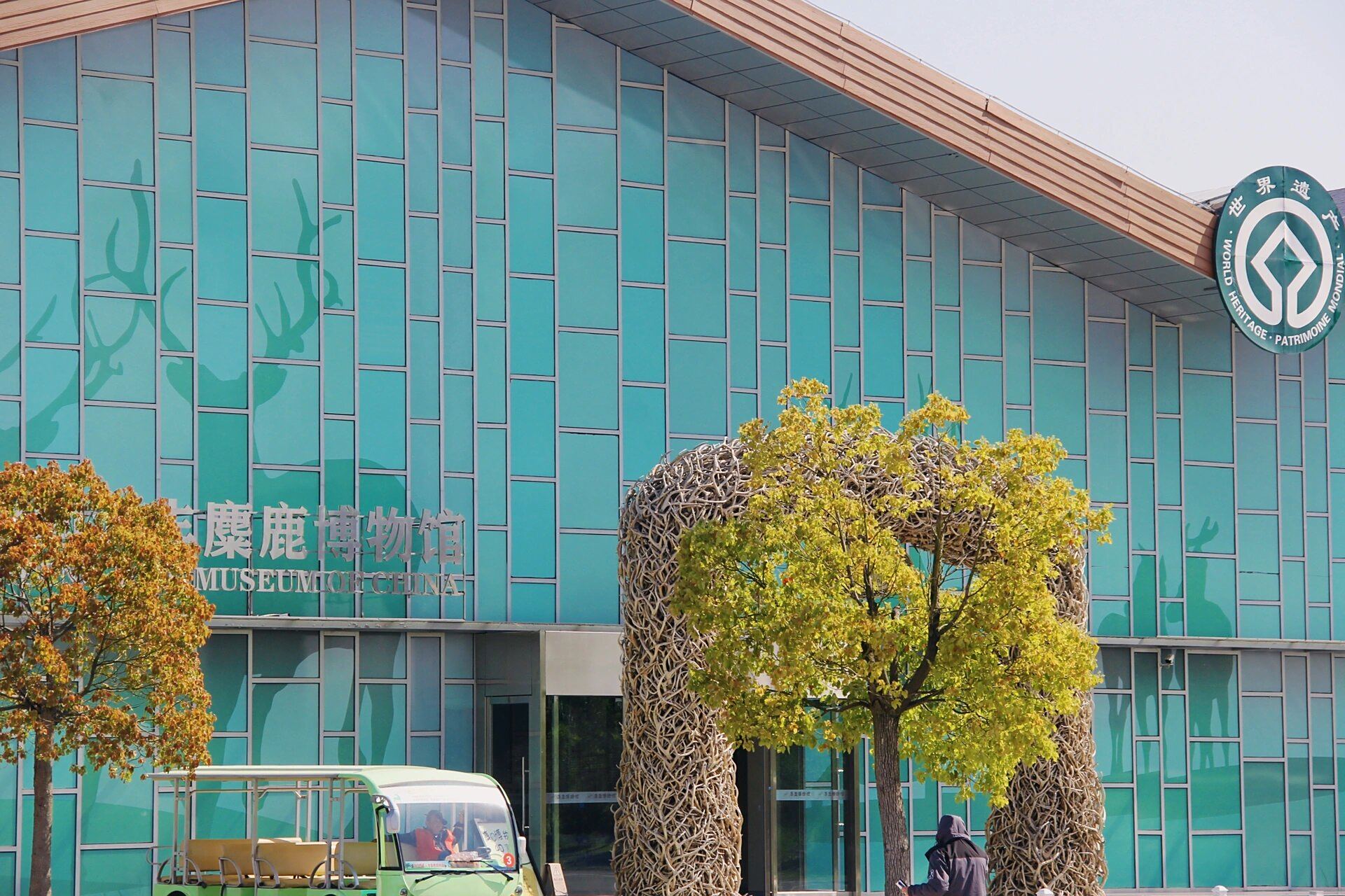 盐城唯一一个aaaaa景点,教你怎么玩～ 03中华麋鹿园位于盐城大丰区