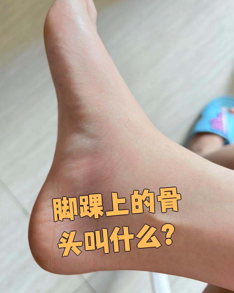 脚踝上的骨头叫踝骨
