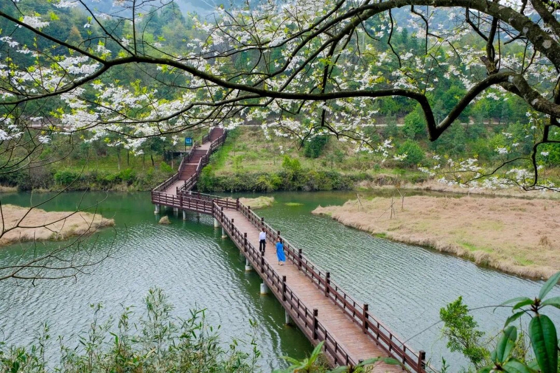 岳阳市天井山森林公园图片
