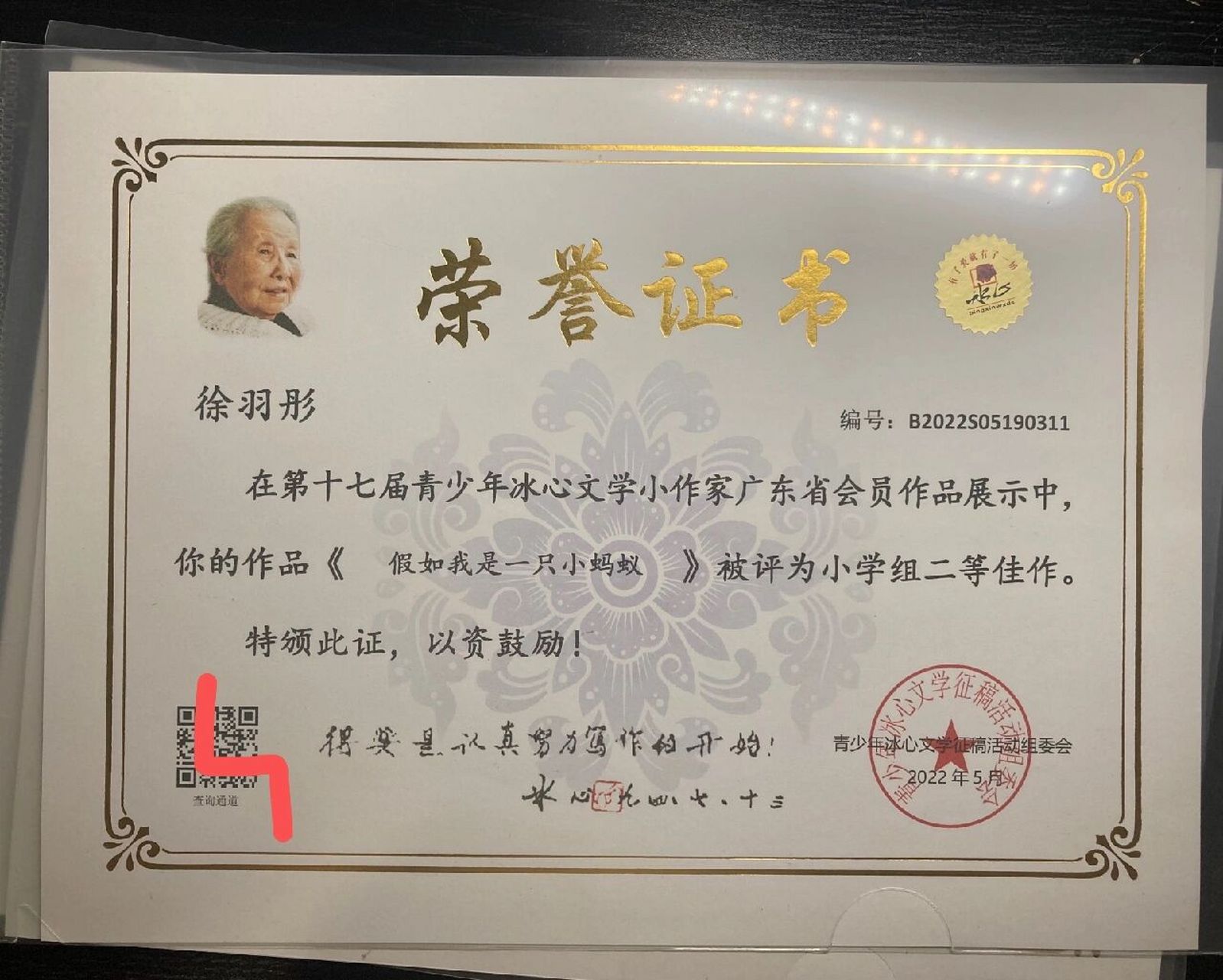 冰心作文大赛开始报名了!