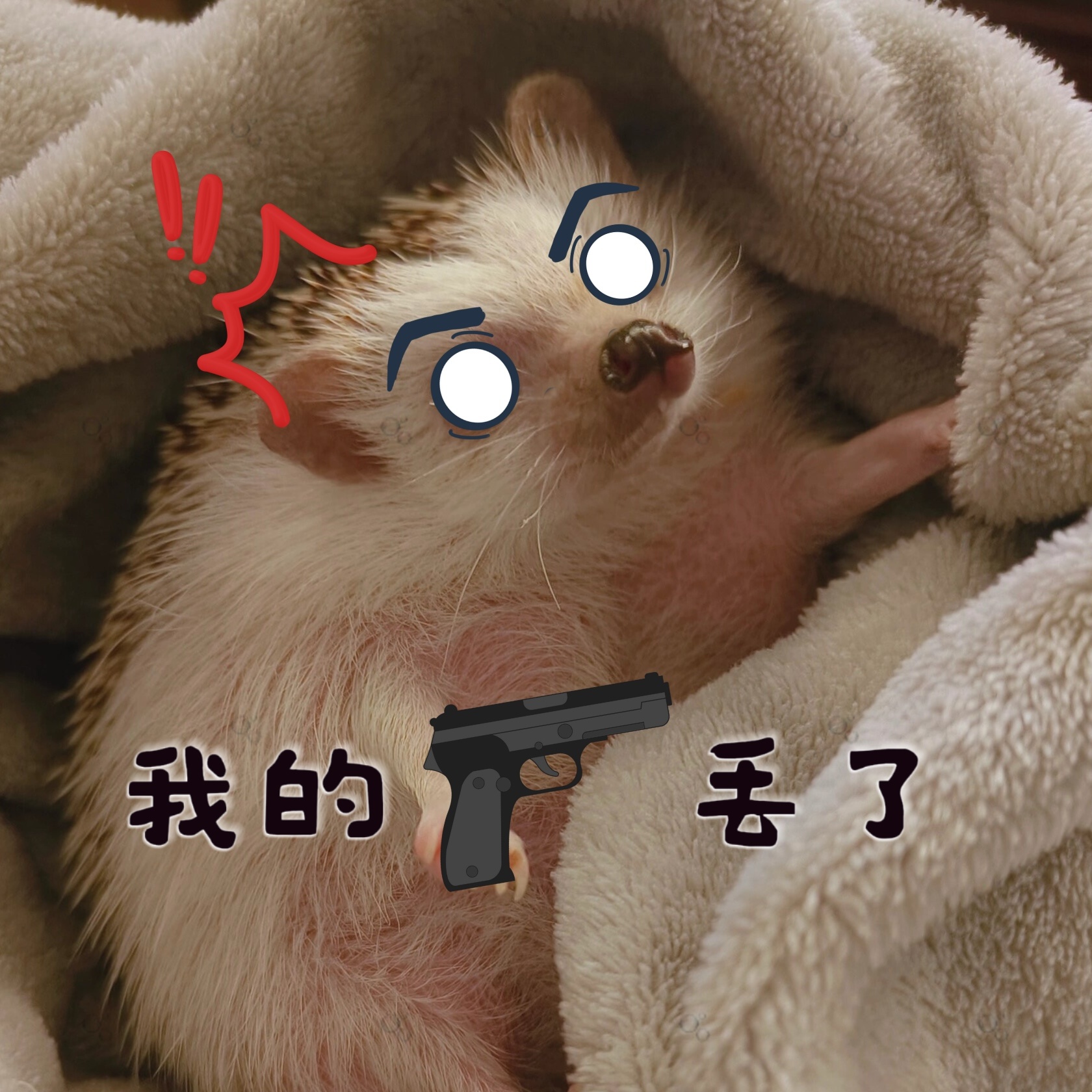 "我曾是一名优秀的警察,一次行动中被偷走了配枪,然后...就再也找不到