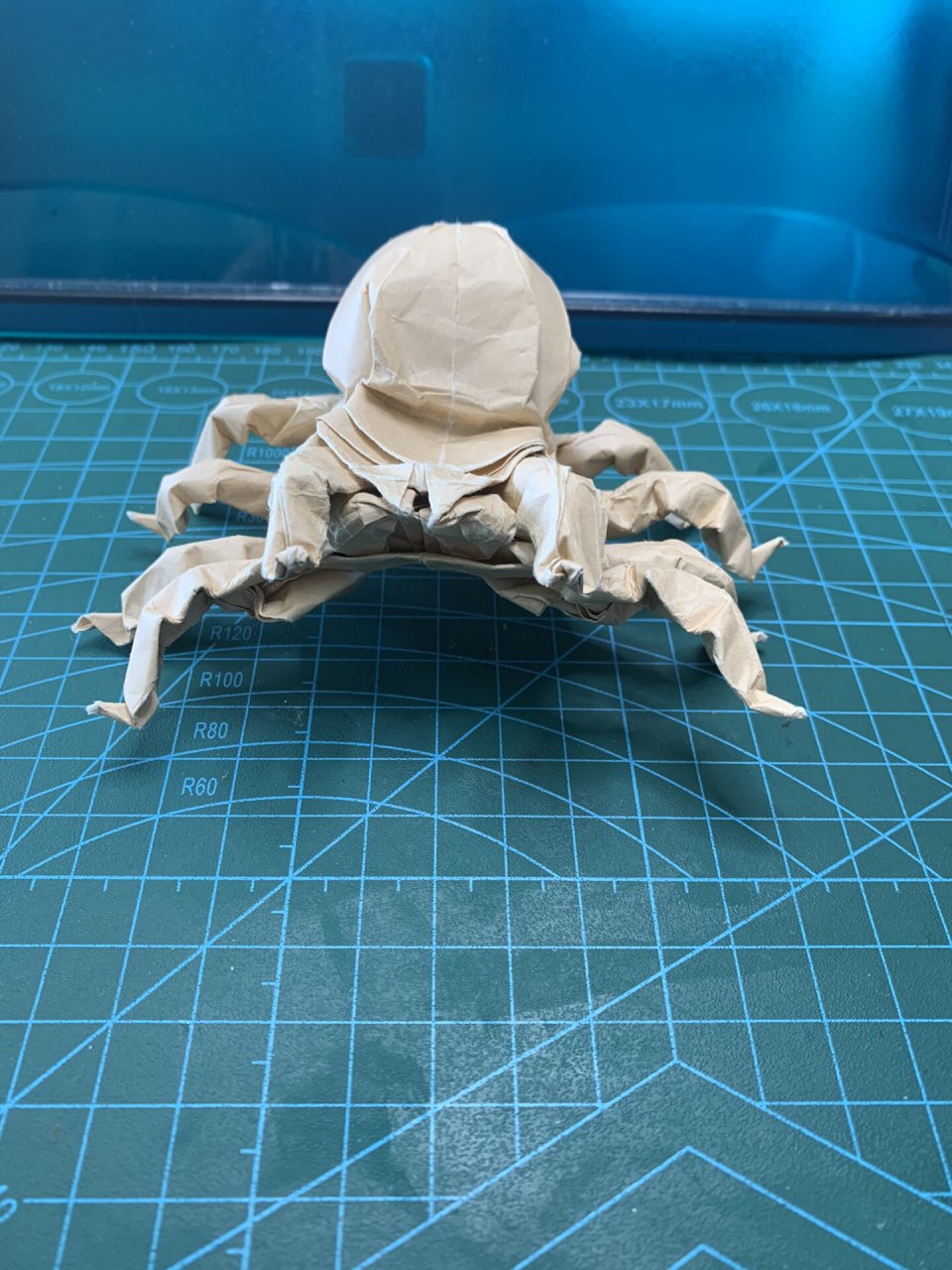折纸狼蛛 折纸狼蛛