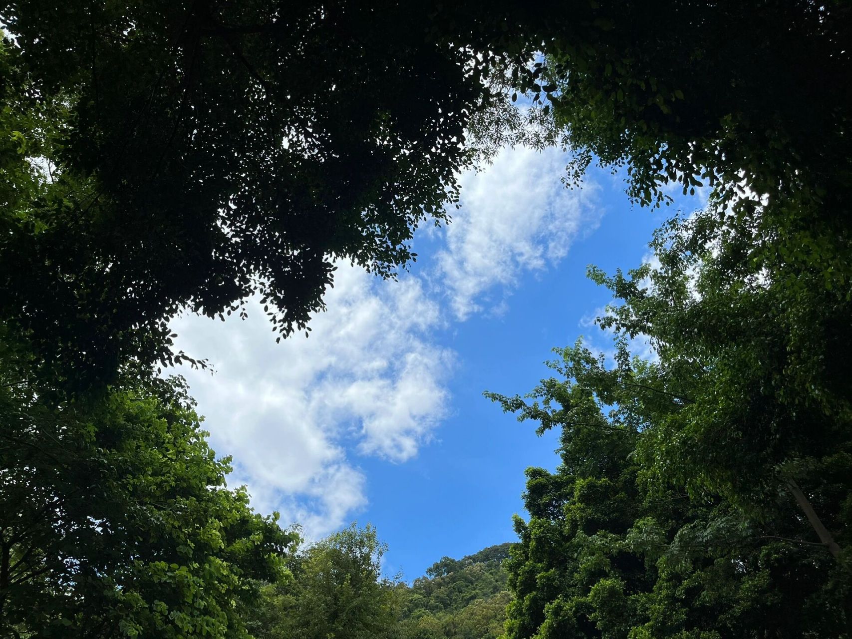 登高-大雁山森林公园 门票:免费 🅿️:有西门和北门,看别的贴说北