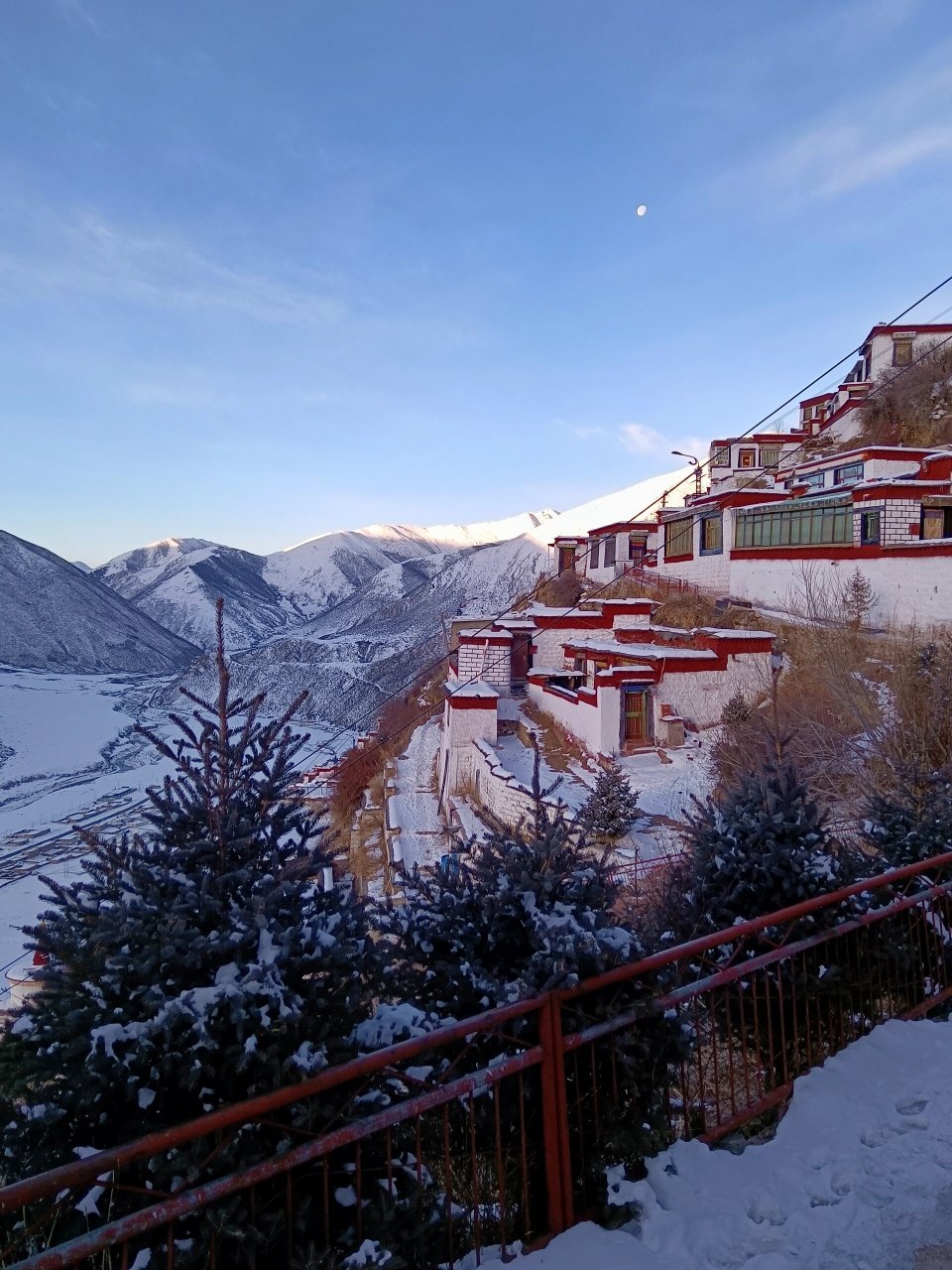 在西藏的直贡梯寺 亲眼目睹了天葬❄️ 🪦 一直有听说过天葬 而