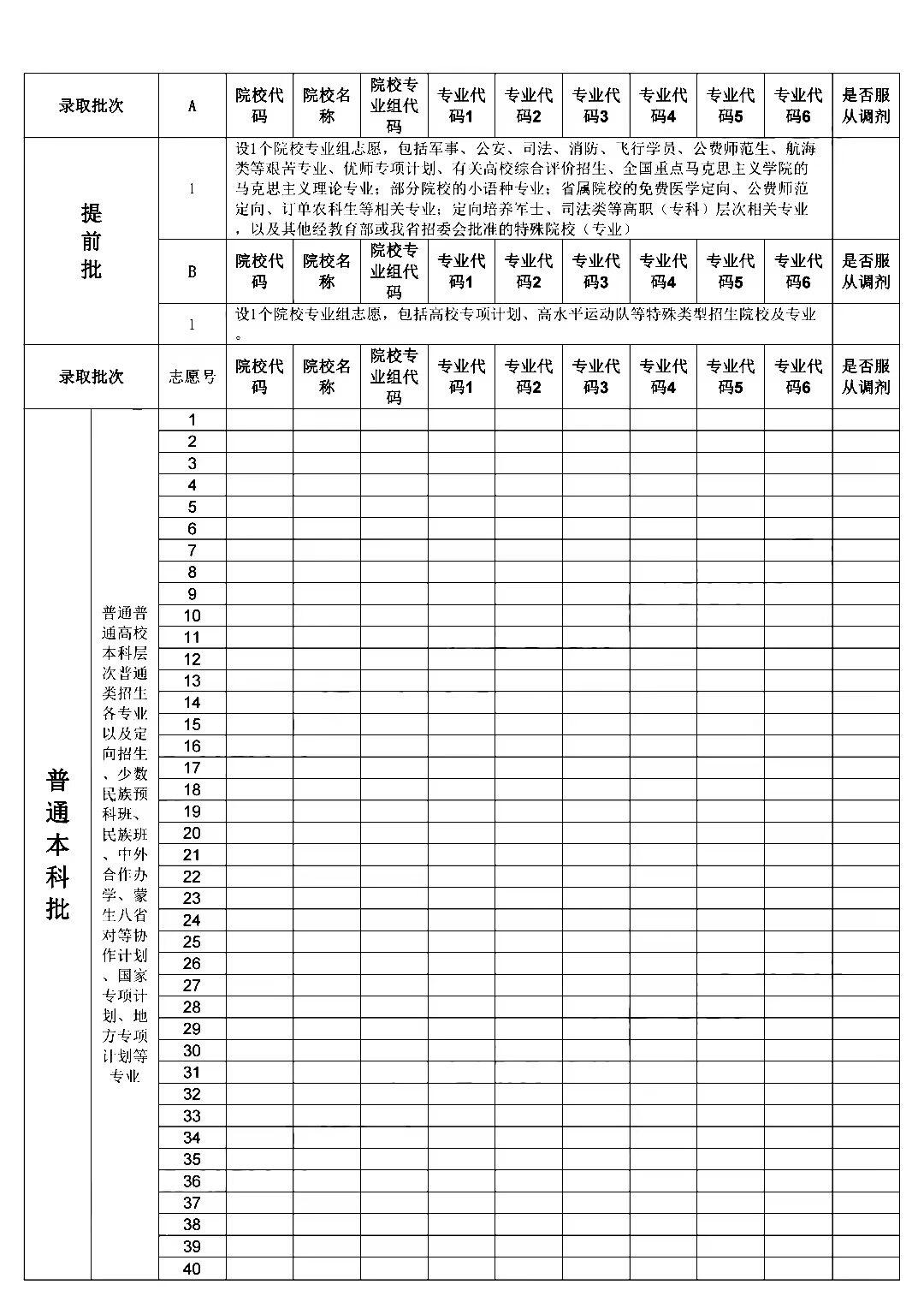 【最新版】新高考志愿填报表格