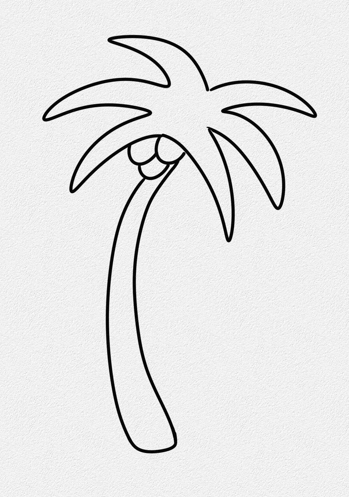 简笔画—椰子树