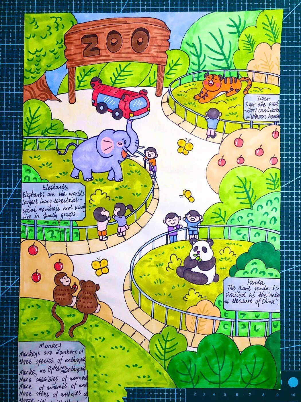 动物园手抄报|英文儿童画