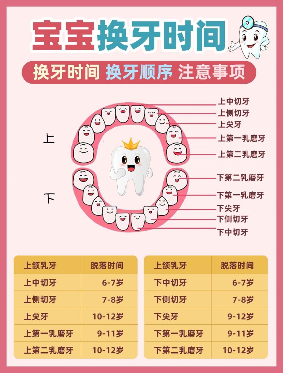 宝宝换牙顺序图07注意事项7215 乳牙生长一般从婴儿6个月左右