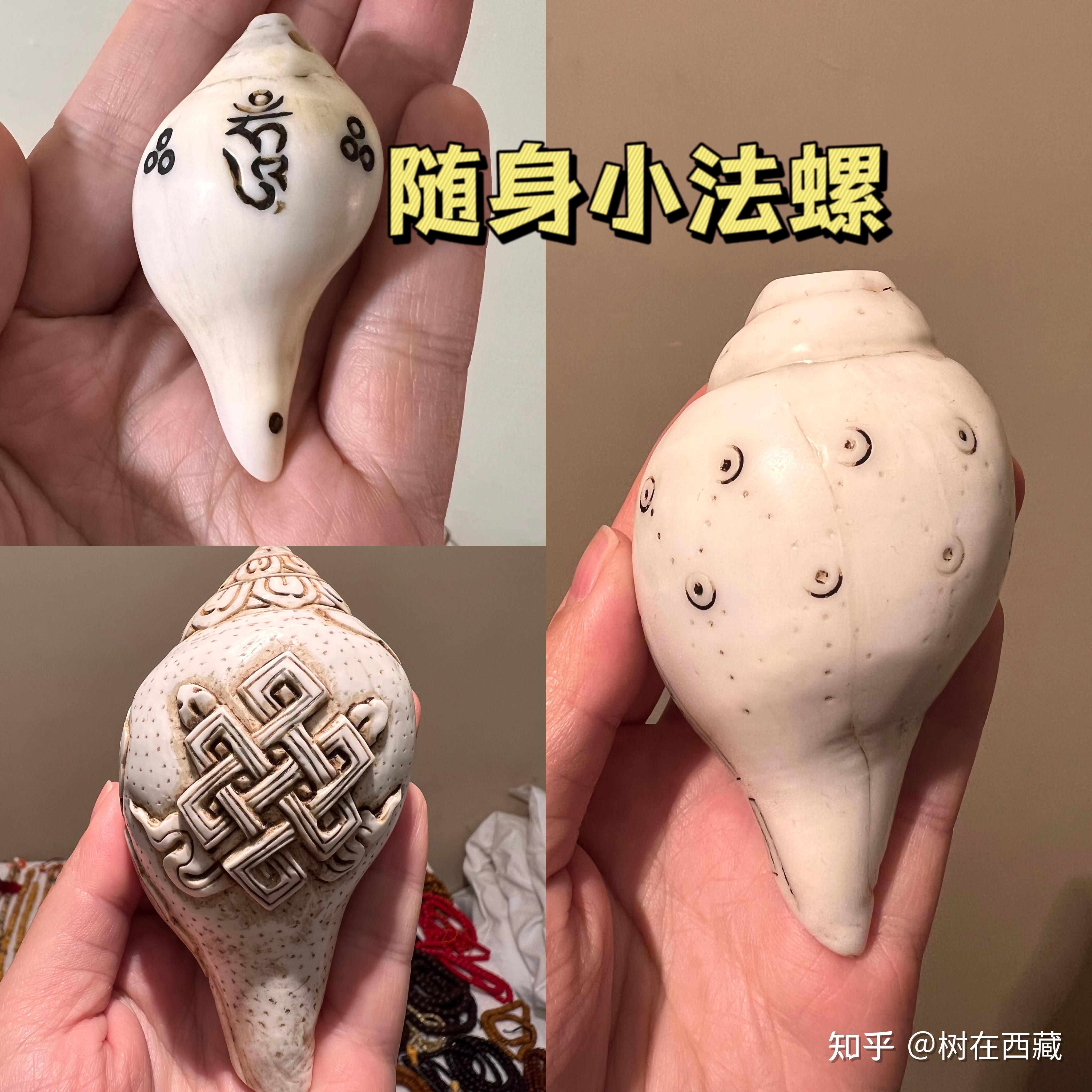 藏传吉祥八宝之法螺随身实修即修行