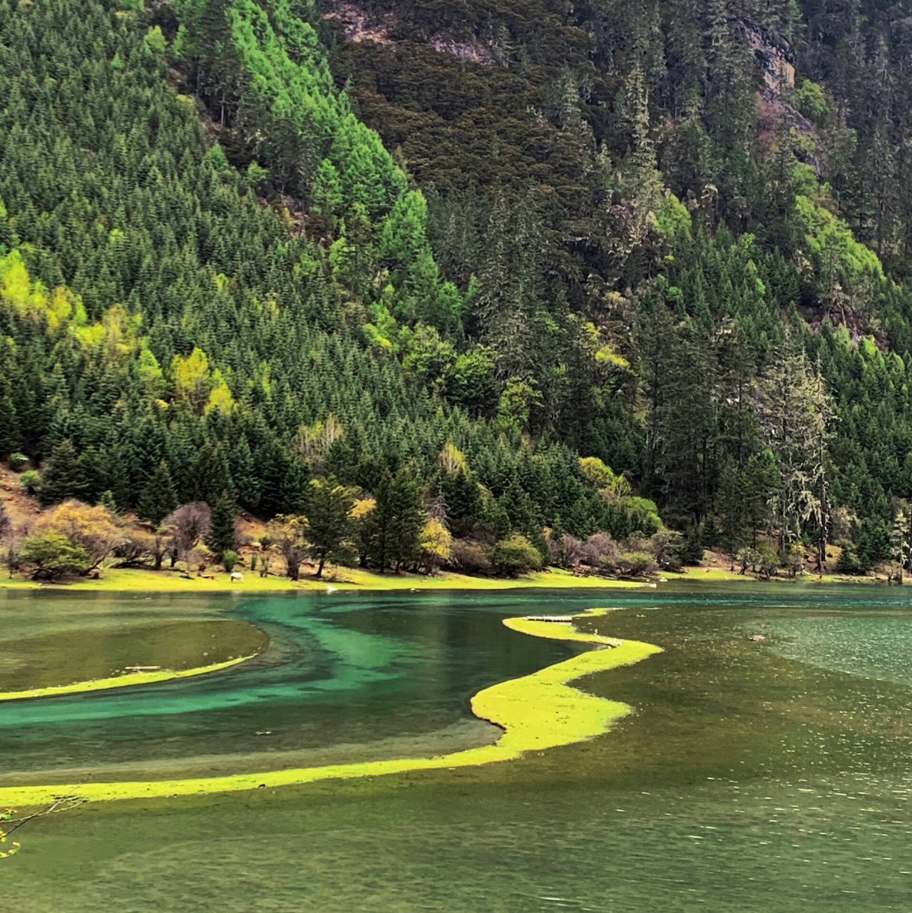 甘孜月亮湖风景区图片