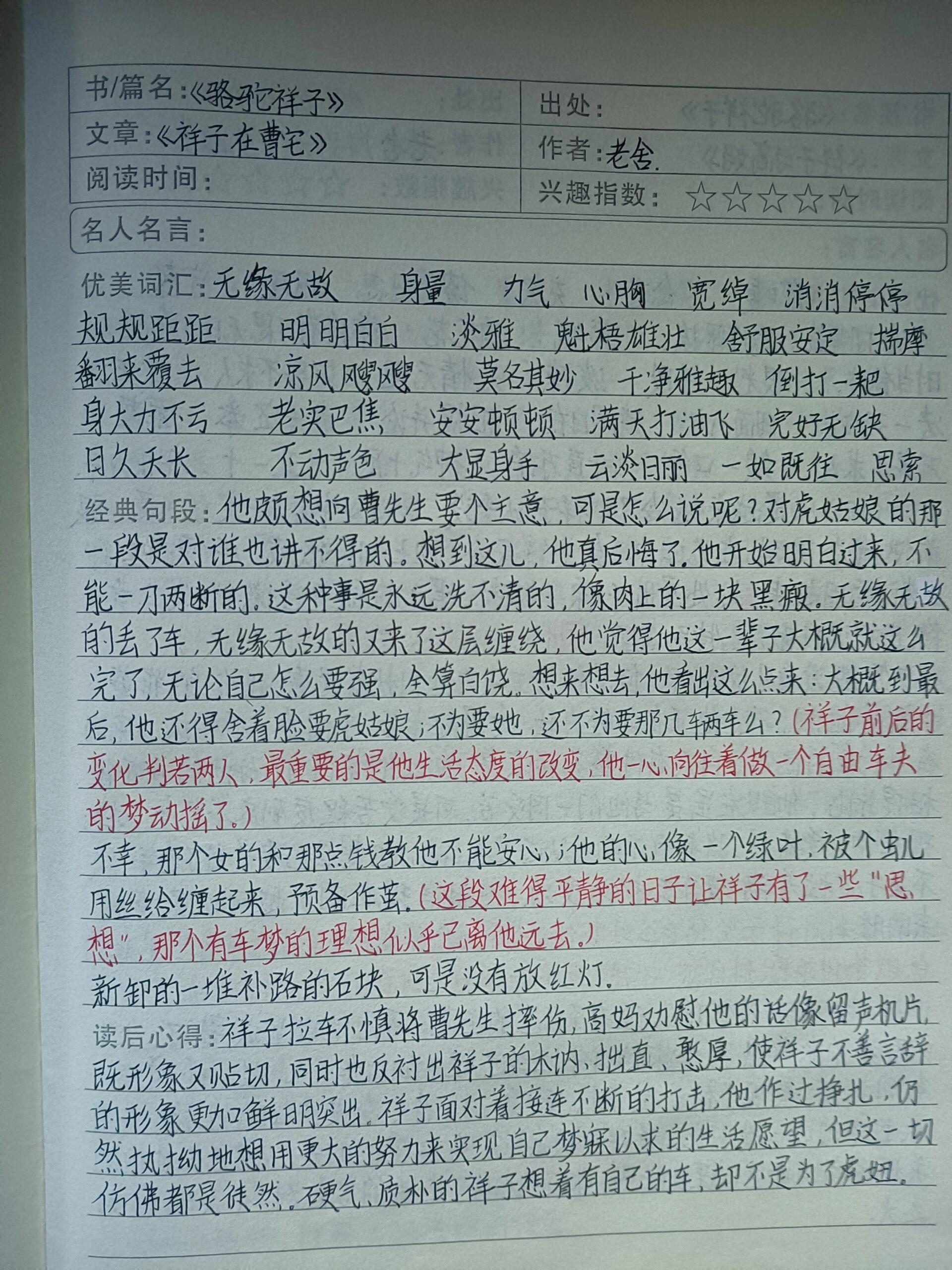 骆驼祥子段落摘抄加欣赏(骆驼祥子段落摘抄加欣赏AI)