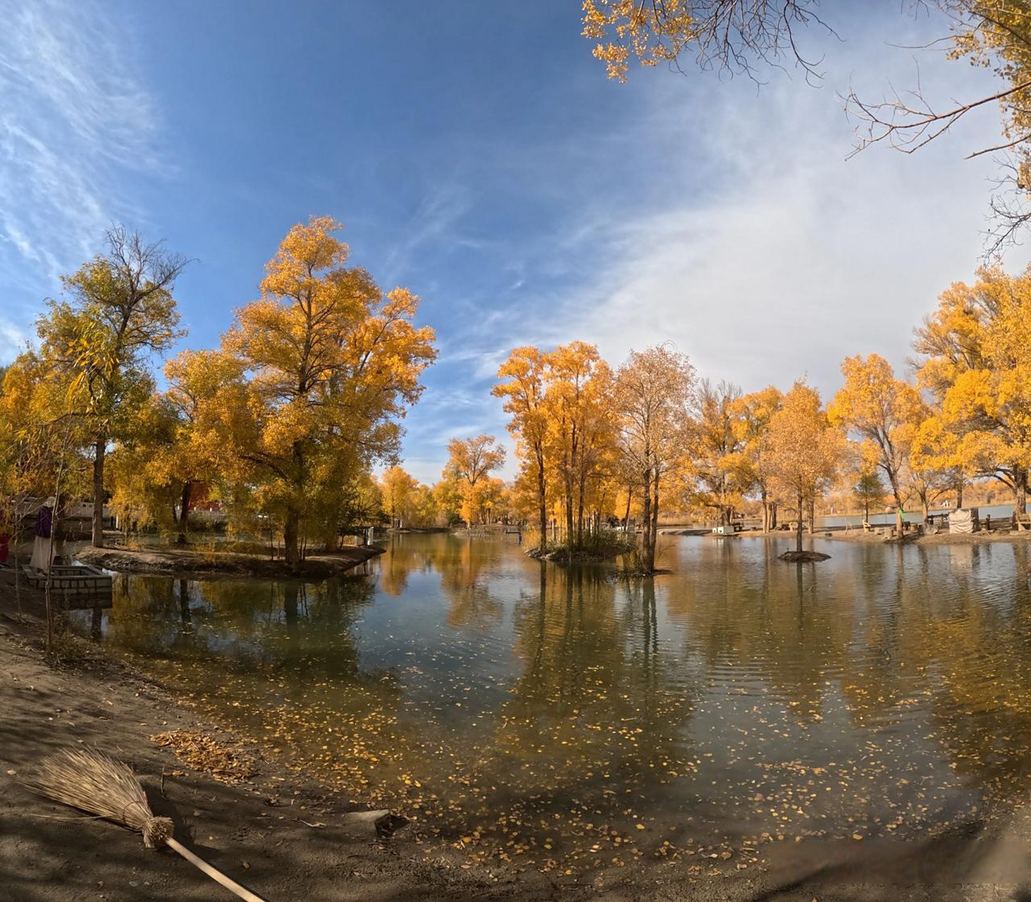 2023年10月18日,我来到甘肃省酒泉市金塔县参观金塔沙漠胡杨林.