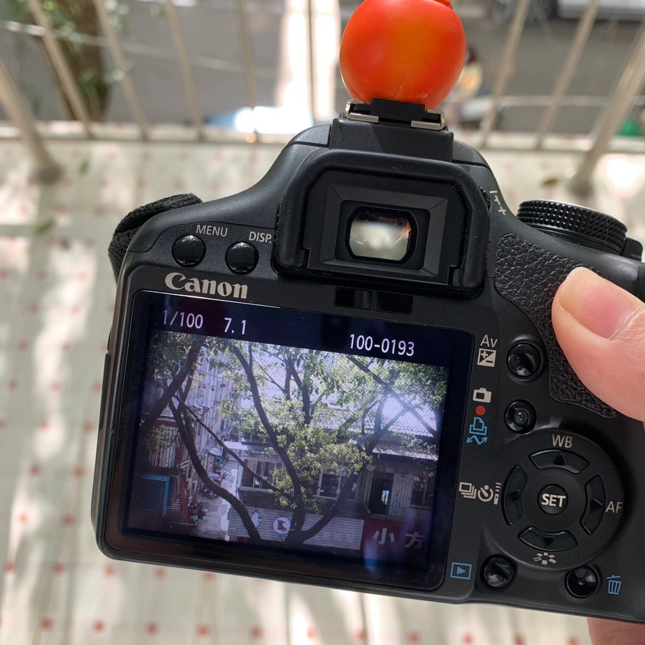 91 佳能500d 套机镜头(镜头有些霉点 画面有暗角导出来没有)都是小