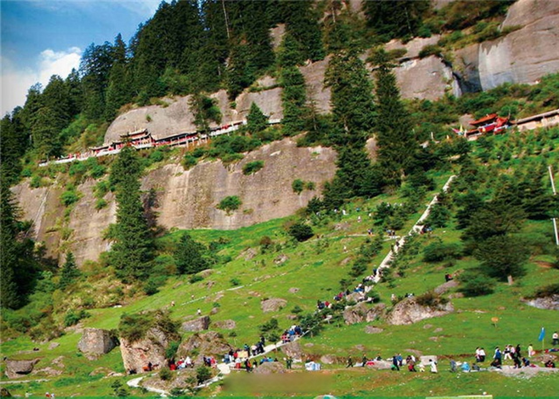 我拍甘肃地标# 国家森林公园,国家4a级旅游景区——临夏和政松鸣岩