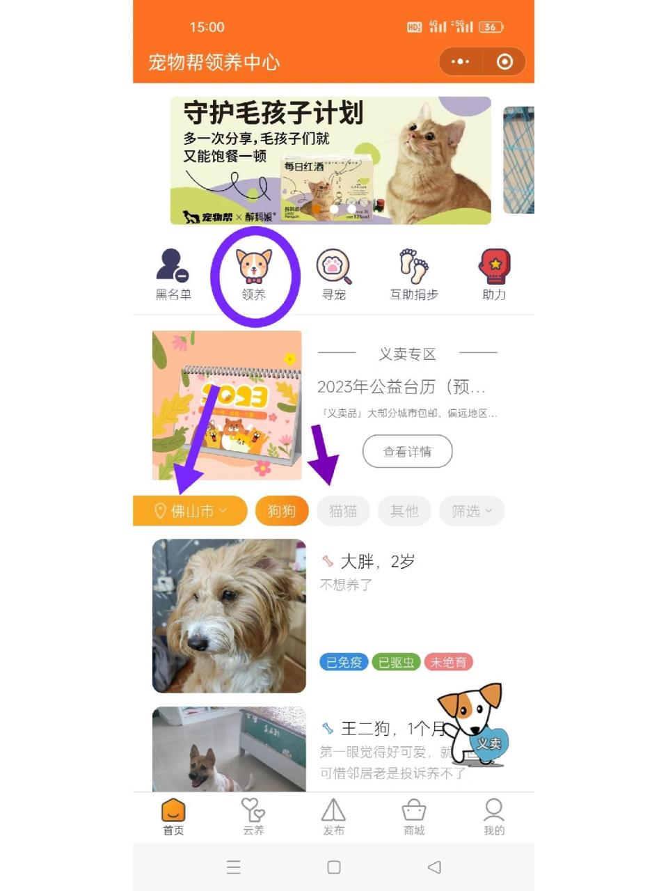 分享一下我领养猫咪的平台!