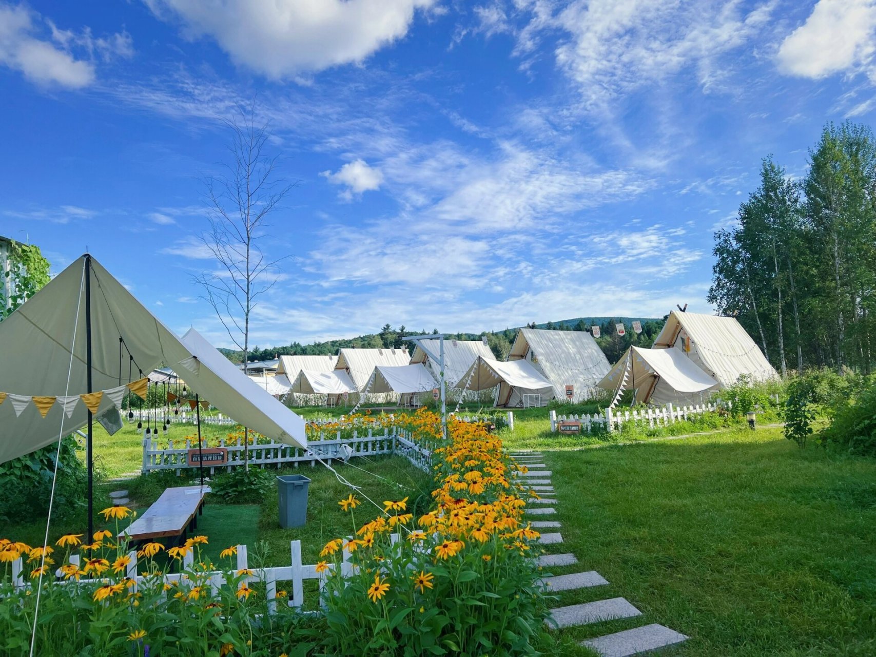 伊春最美民宿 伊春住了两晚的民宿 到处是风景 特别治愈 下次还要再来