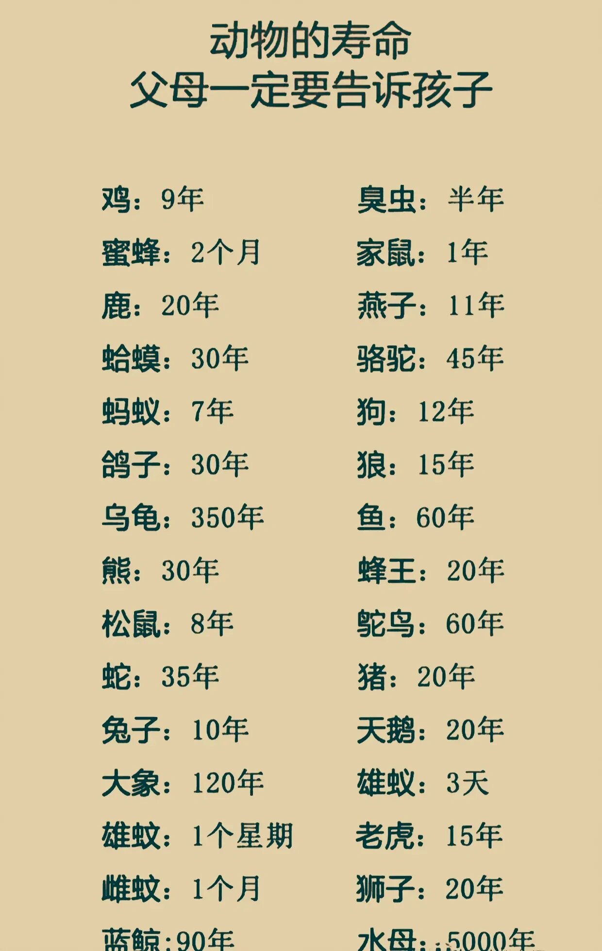 动物寿命100排名表图片图片