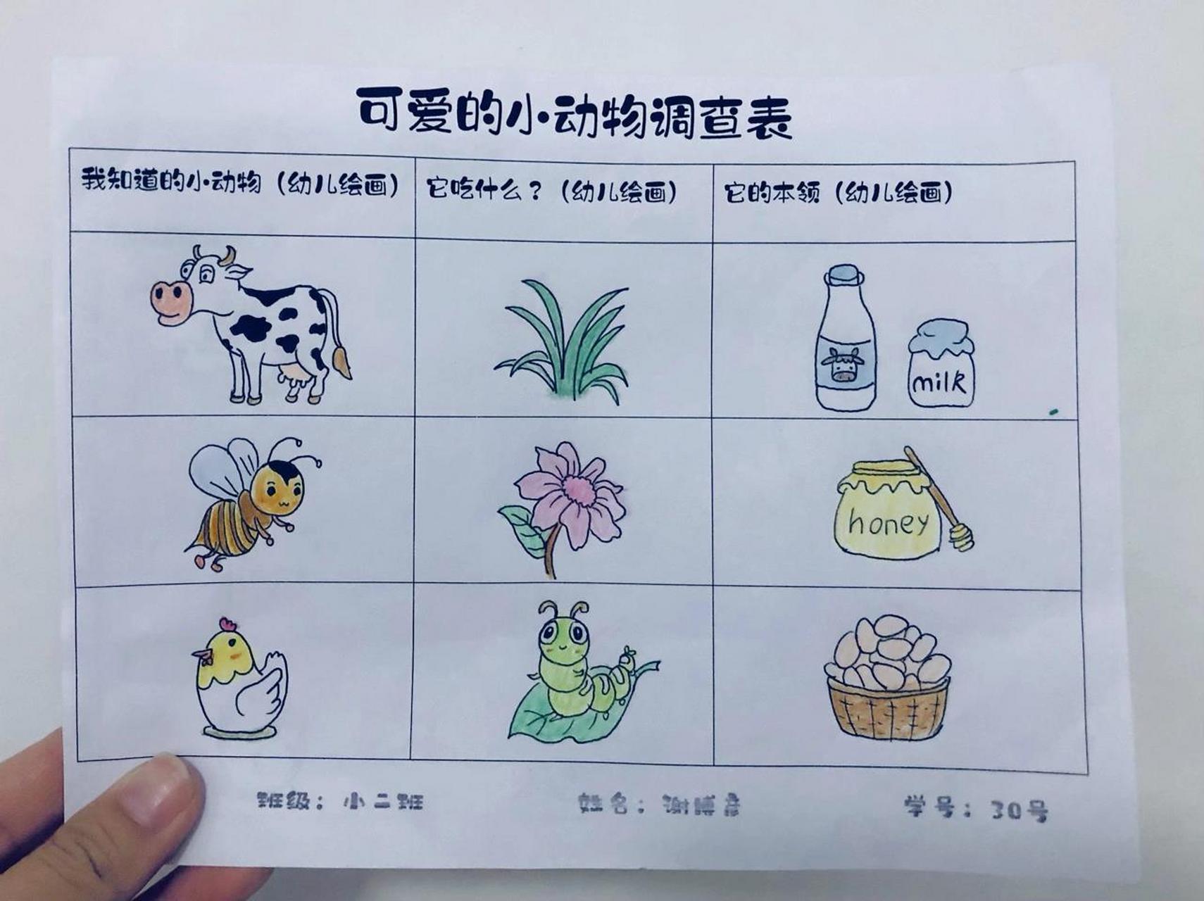 可爱的小动物调查表 幼儿园作业  ,对于我儿子太难了,对于我刚刚好