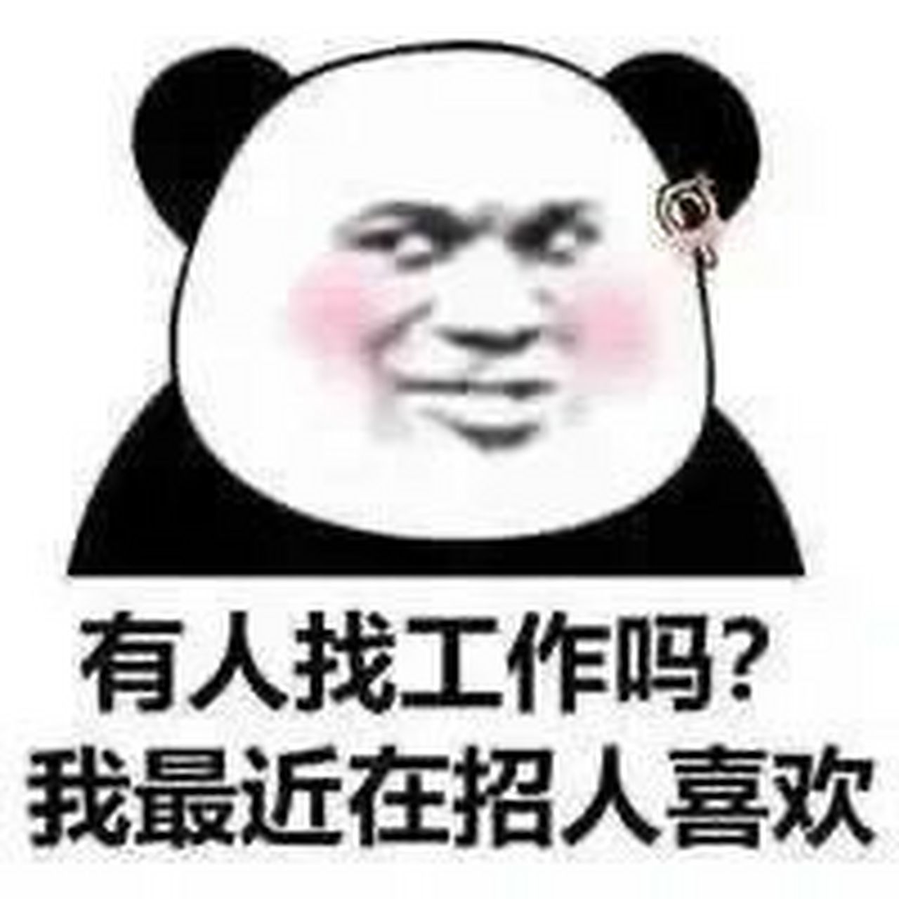 求职表情包大赏 别问 问就是还在找工作