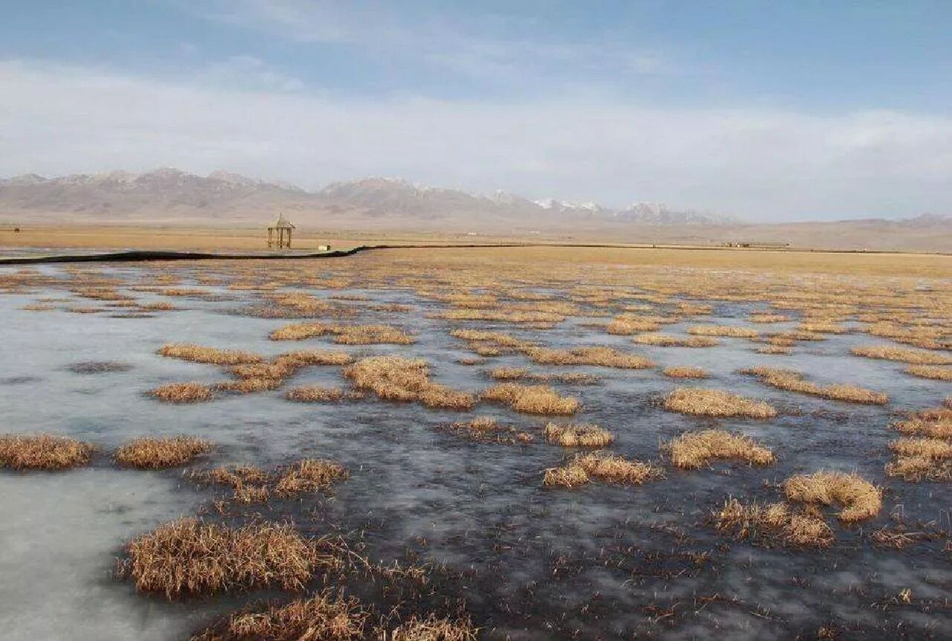 泥炭是沼泽发育过程中的产物,又名"草炭","泥煤",形成于第四纪,由