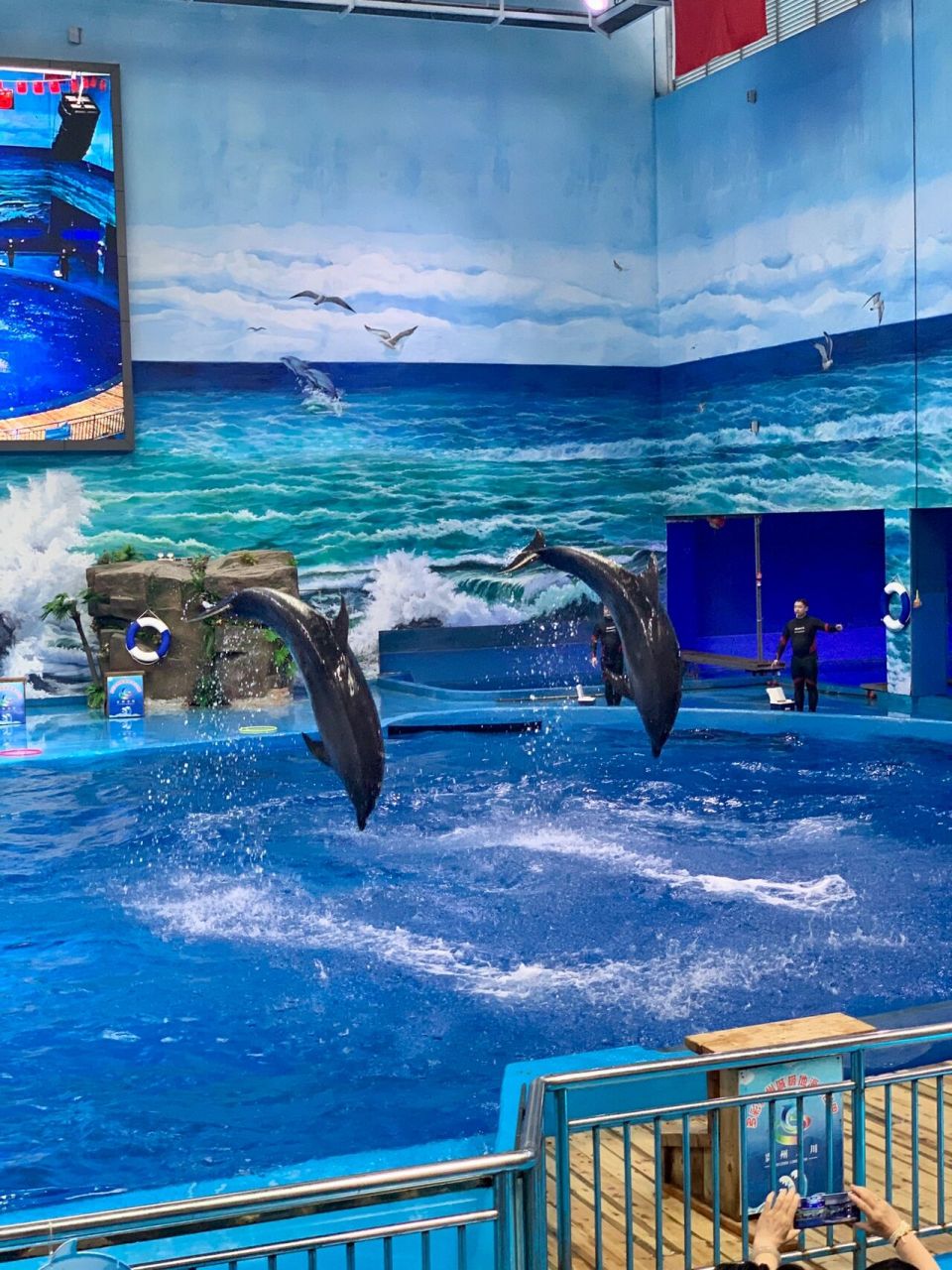 贵州/遵义亲子好去处98多彩贵州极地海洋馆 多彩贵州极地海洋馆看