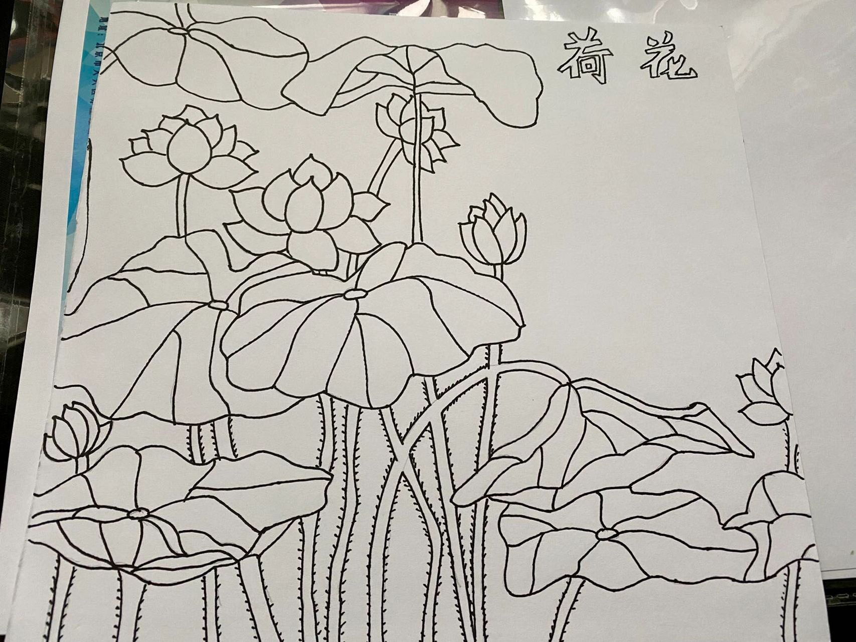 铅笔画荷花图片大全集图片