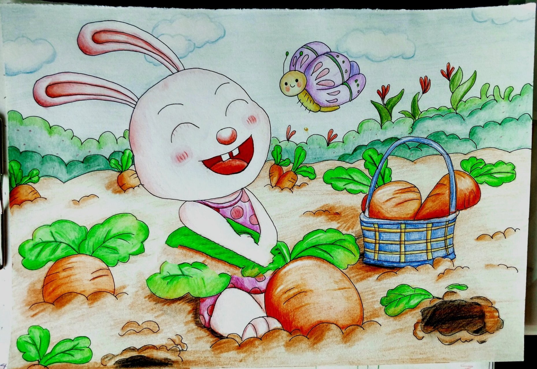 儿童画 《小兔子拔萝卜》 彩铅画 用普通彩铅上的色,太硬,不太上色