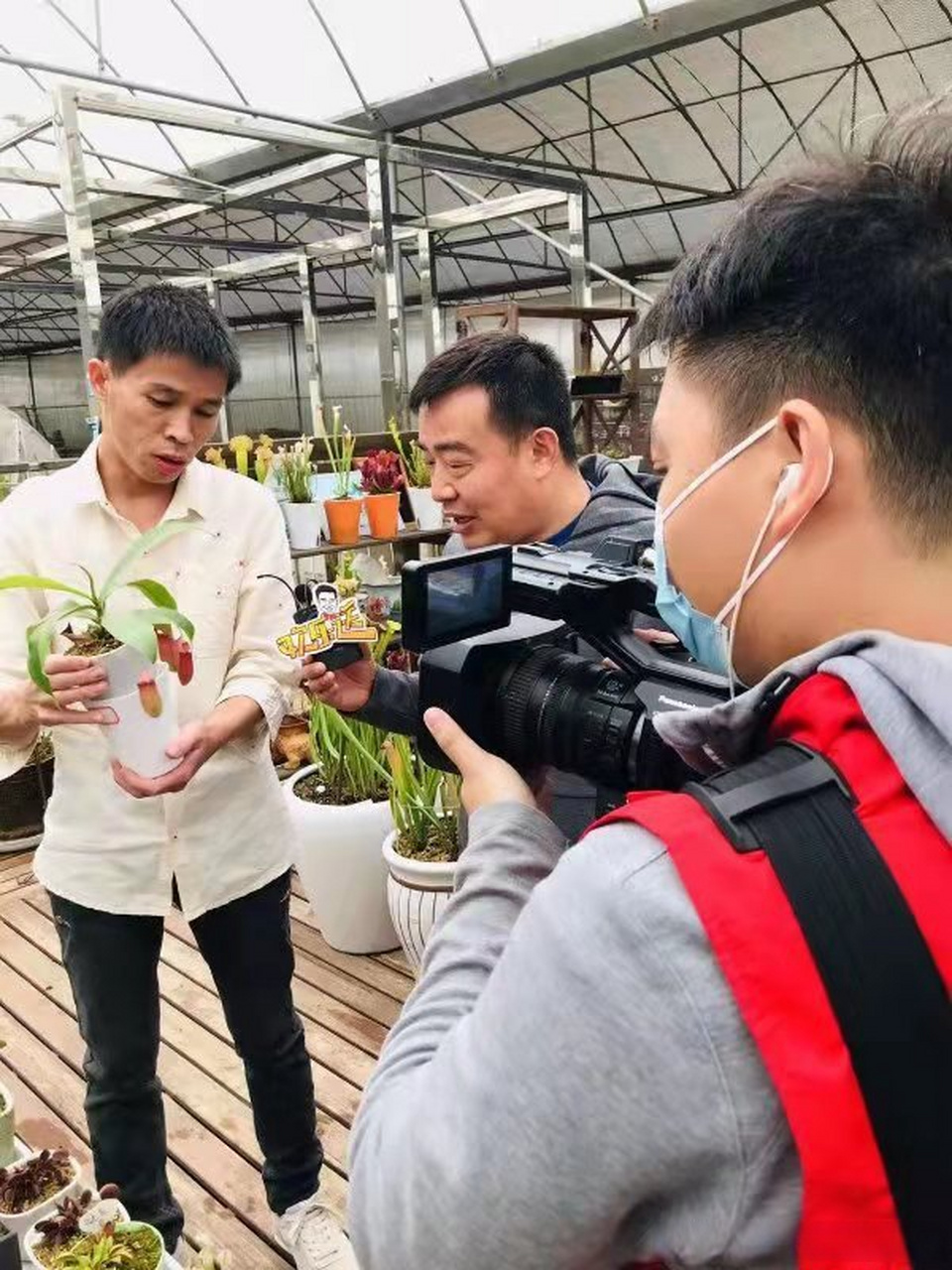 万万没有想到 食虫植物园艺基地迎来了湖北经视欢乐送节目著名主持人