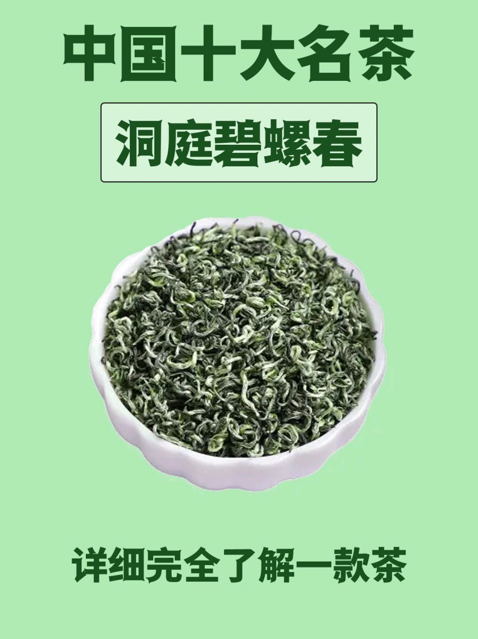 碧螺春茶的特点图片