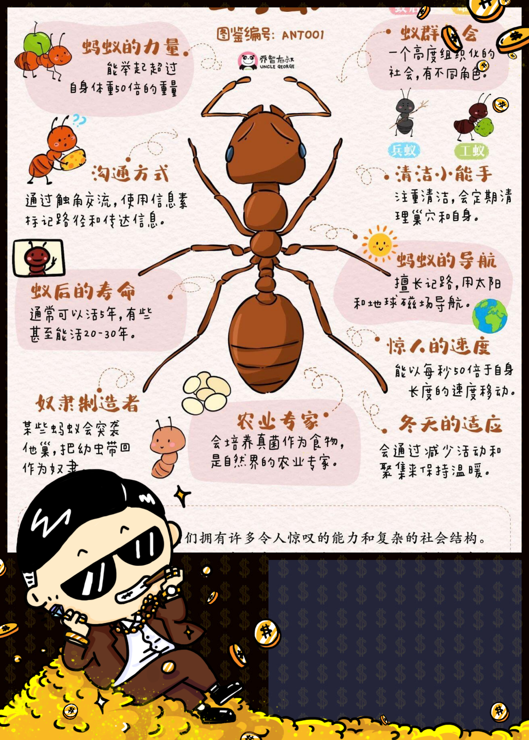 蚂蚁的力量:能举起超过自身体重50倍的重量!