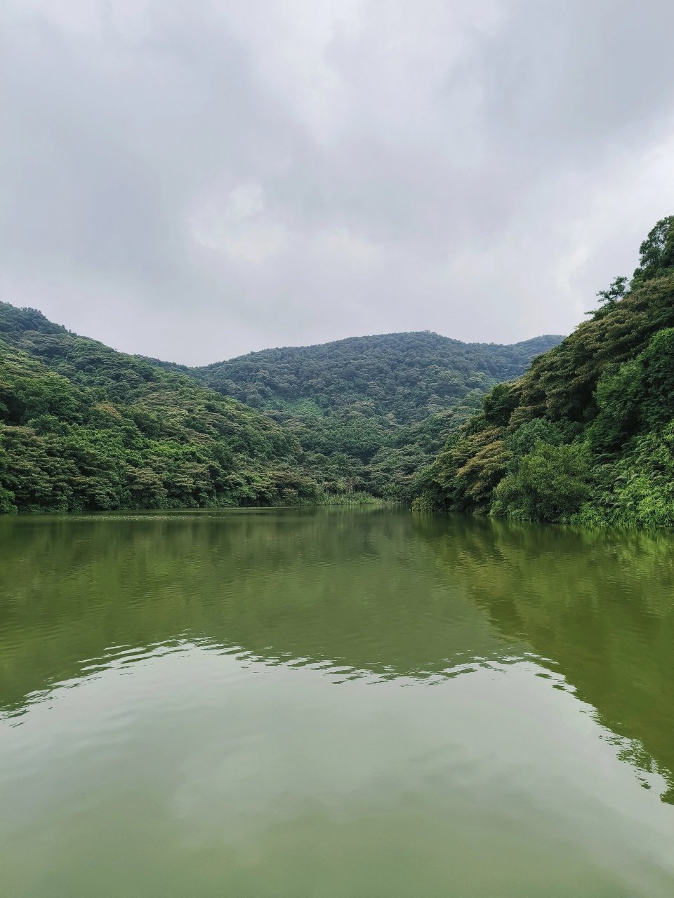 广州自驾出行 油麻山森林公园 门票free 停车free 人不多 环境好 适合