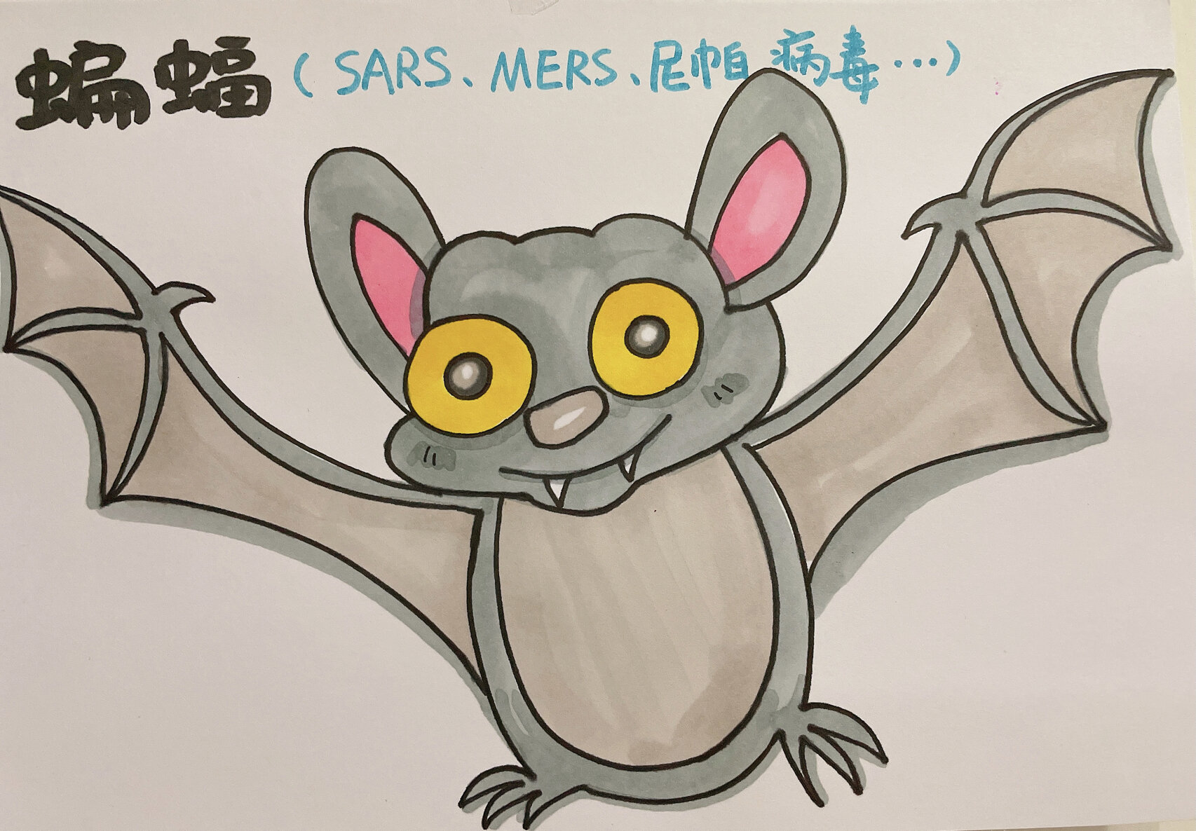 保护野生动物手绘卡片(1