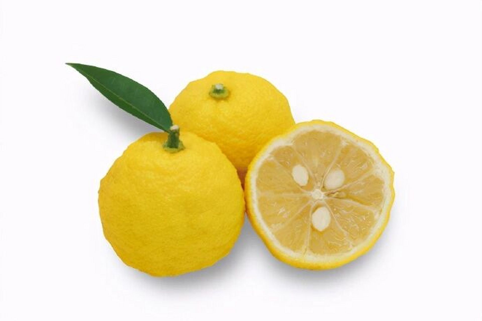 日本柚子的化学成分92 我国现在所说的"柚子"(citrus grandis),在