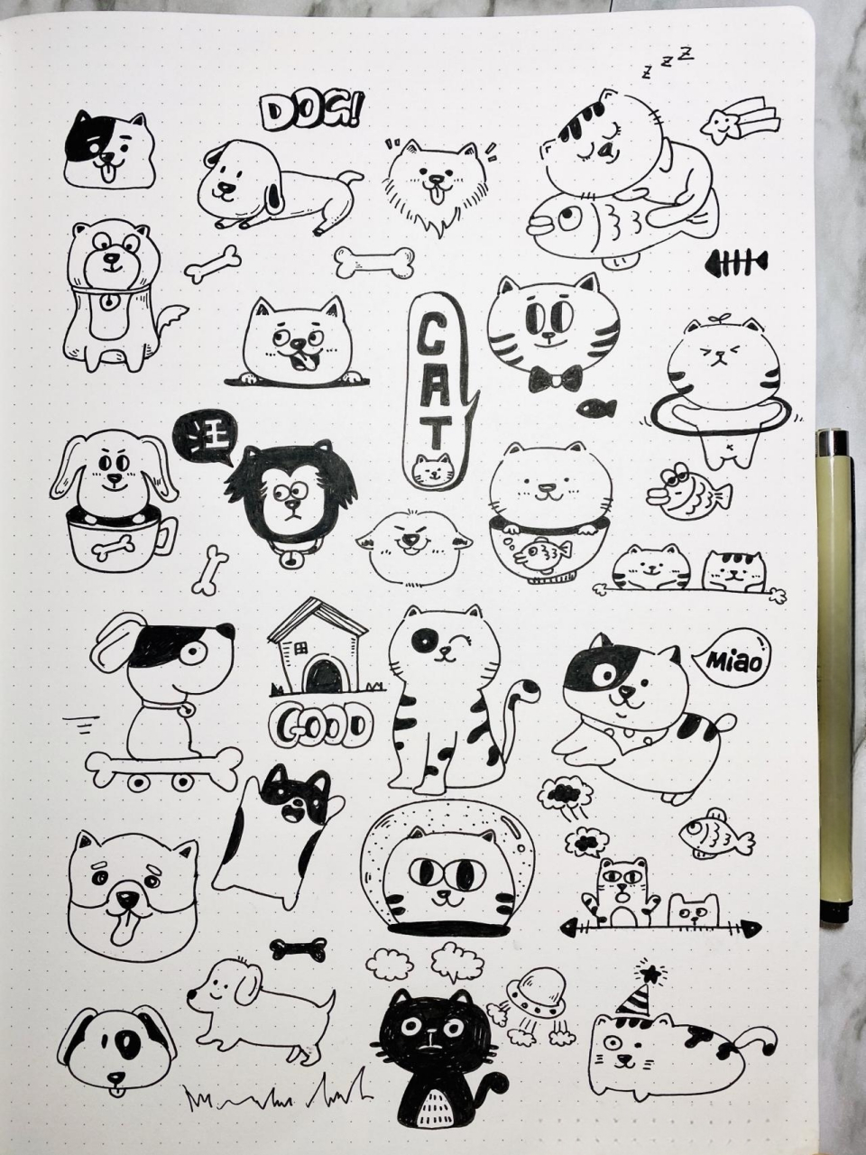 14/100 |动物主题简笔画01|小猫小狗 我的第14页简笔画,离100页目标