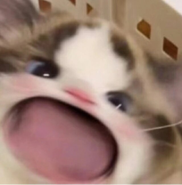 大嘴猫咪表情包