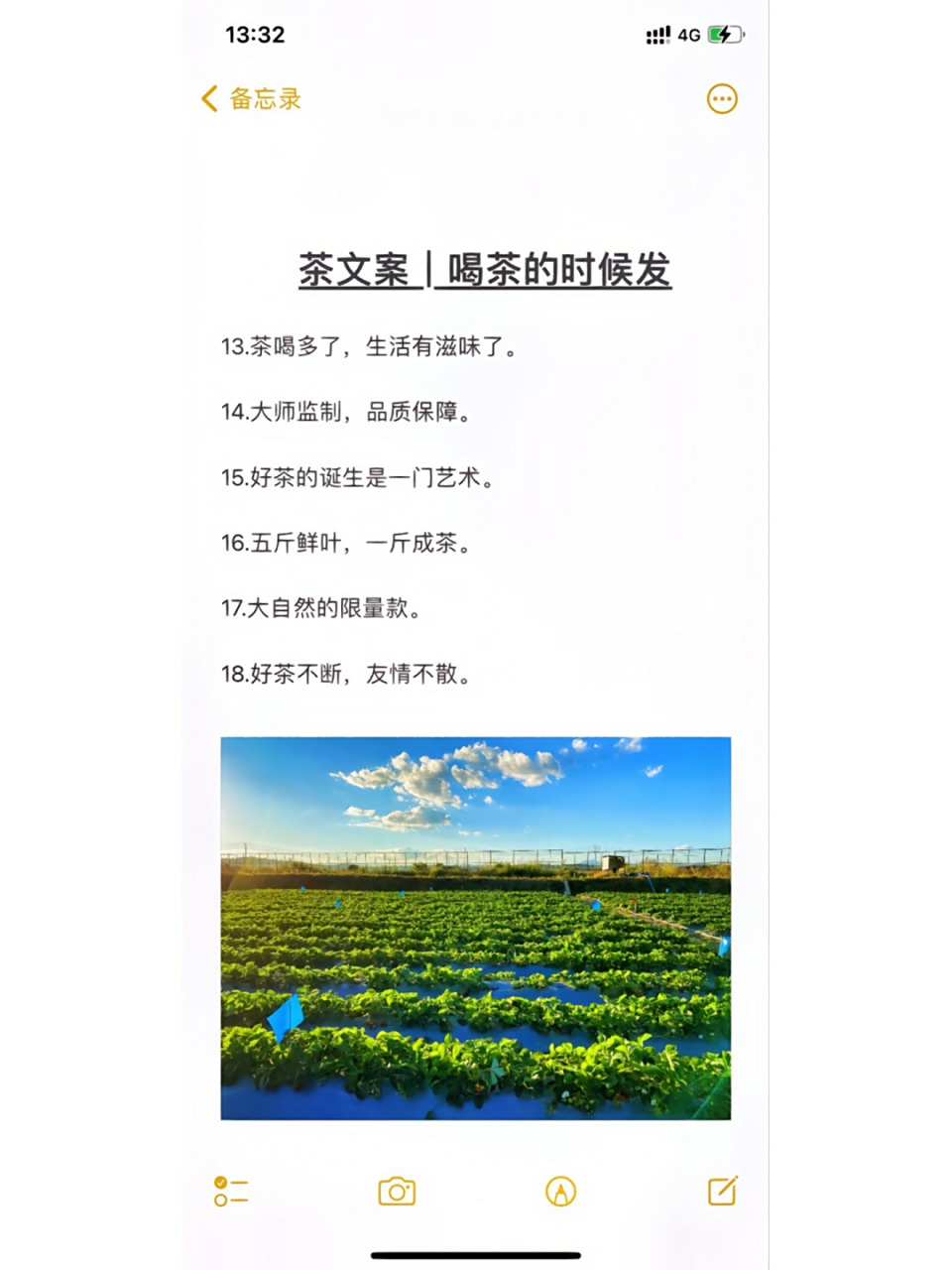 好茶不断,友情不散,喝茶朋友圈文案 95茶文案喝茶的时候就这么发