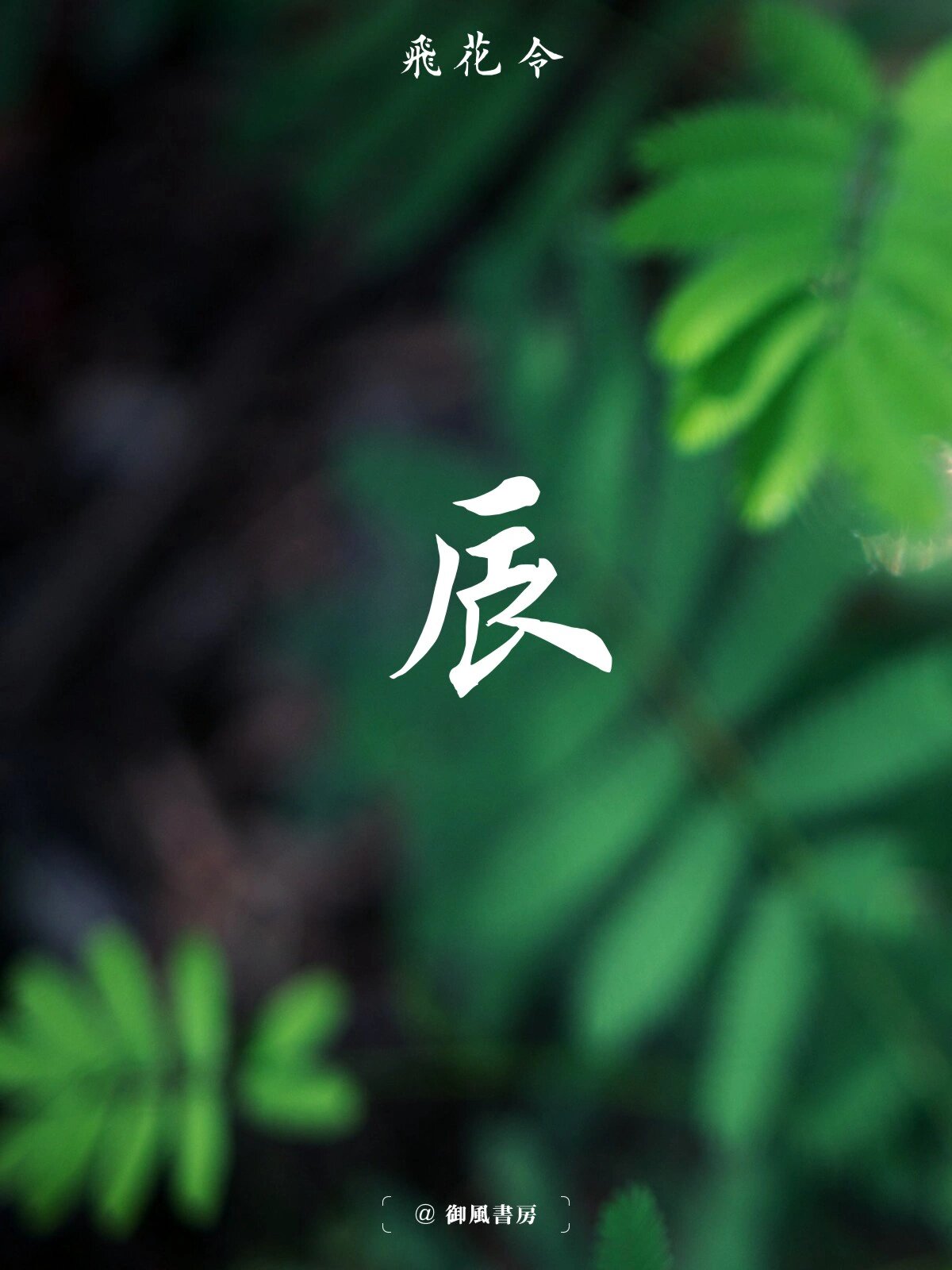 带「辰」字的诗句 『诗词飞花令』