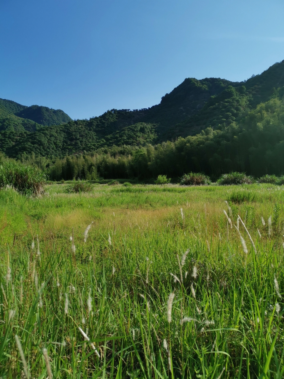 金华永康夏日玩水露营宝地推荐山泉水好水源 这里是永康永祥拱瑞下村