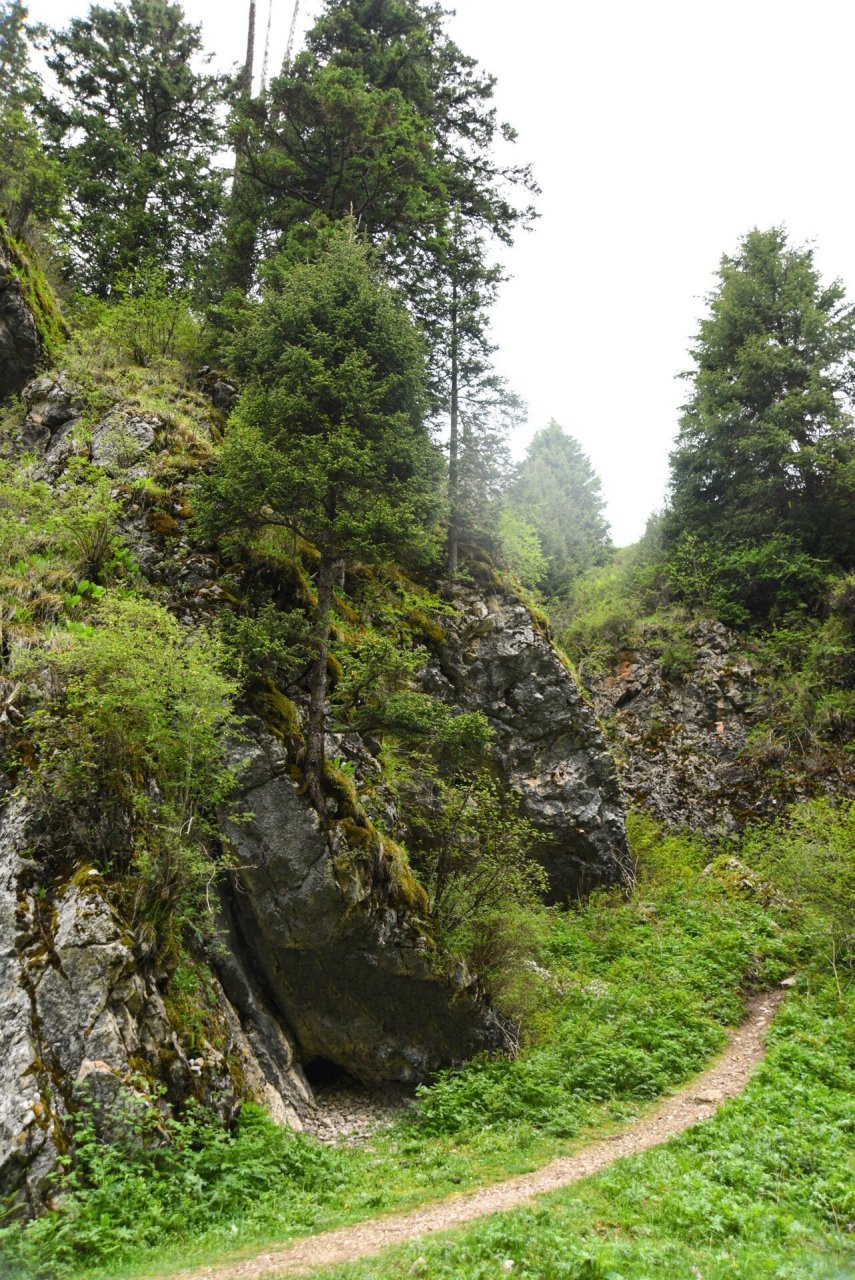 白龙江大峡谷图片