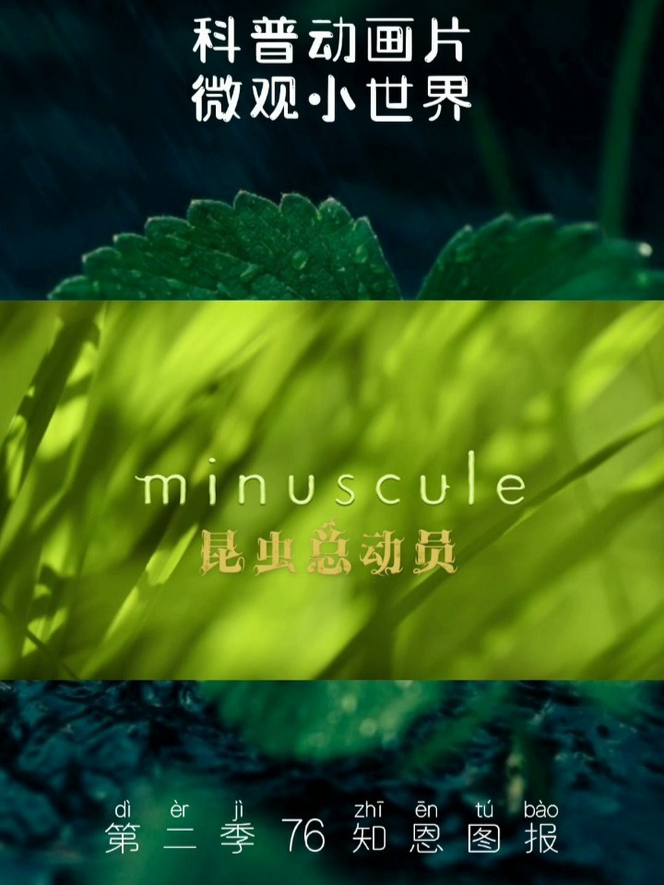 微观小世界 第二季 76 科普动画片