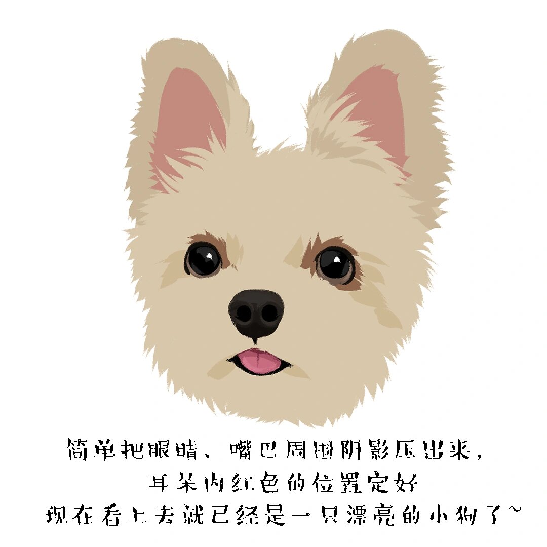 (附步骤图 把客单的过程单独发发,是一只小帅哥约克夏!