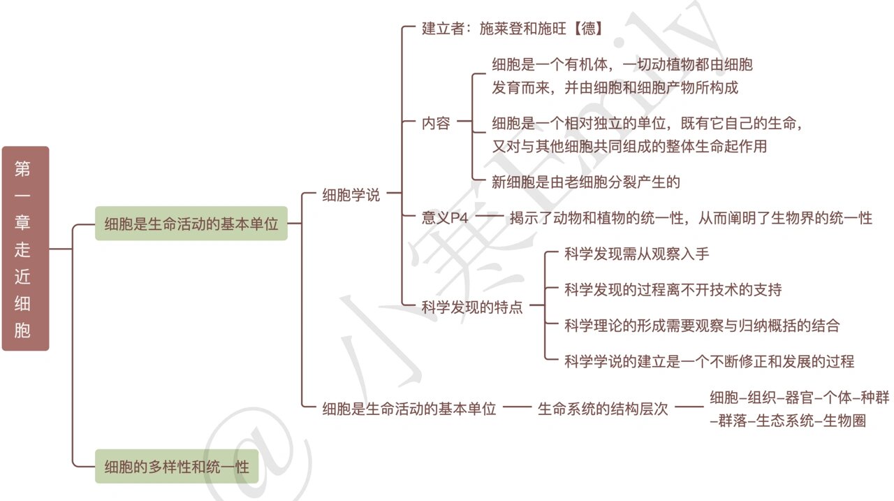 思维导图 高中生物新教材必修一第一章