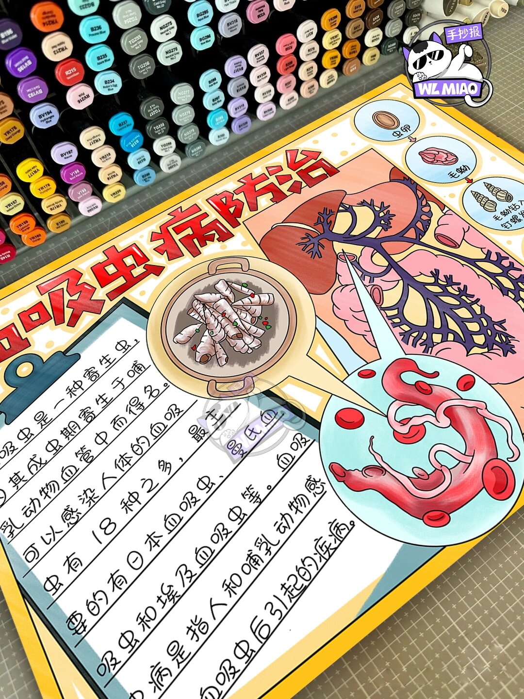 血吸虫病防治手抄报模板分享