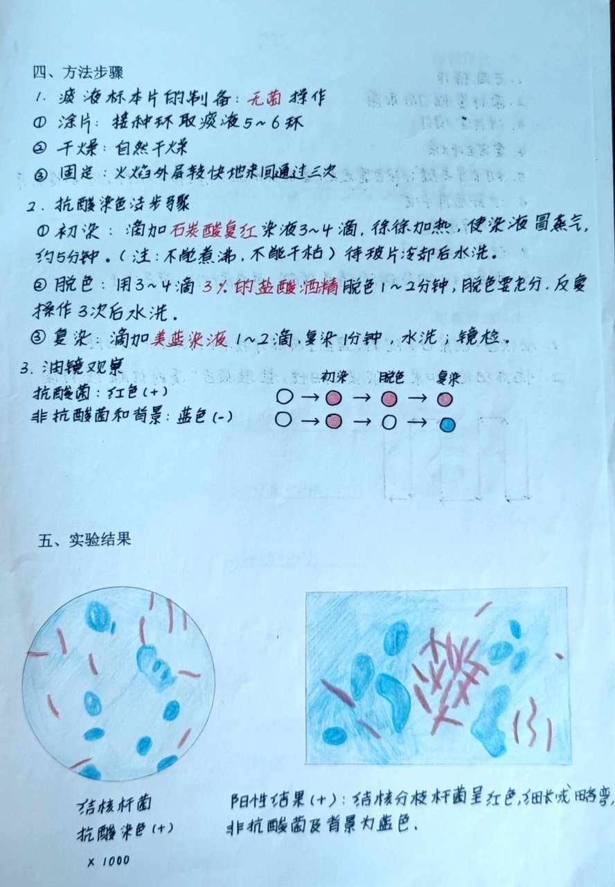 抗酸染色图片