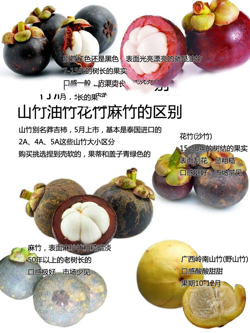 山竹油竹花竹麻竹沙竹原来是这样的呀!