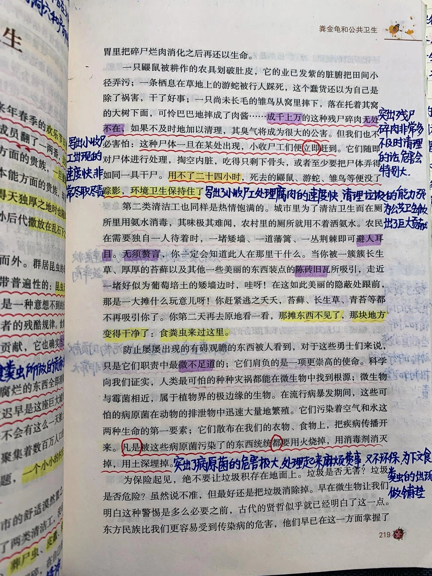 昆虫记 二十四 粪金龟和公共卫生 八年级上册必读书目《昆虫记》读书