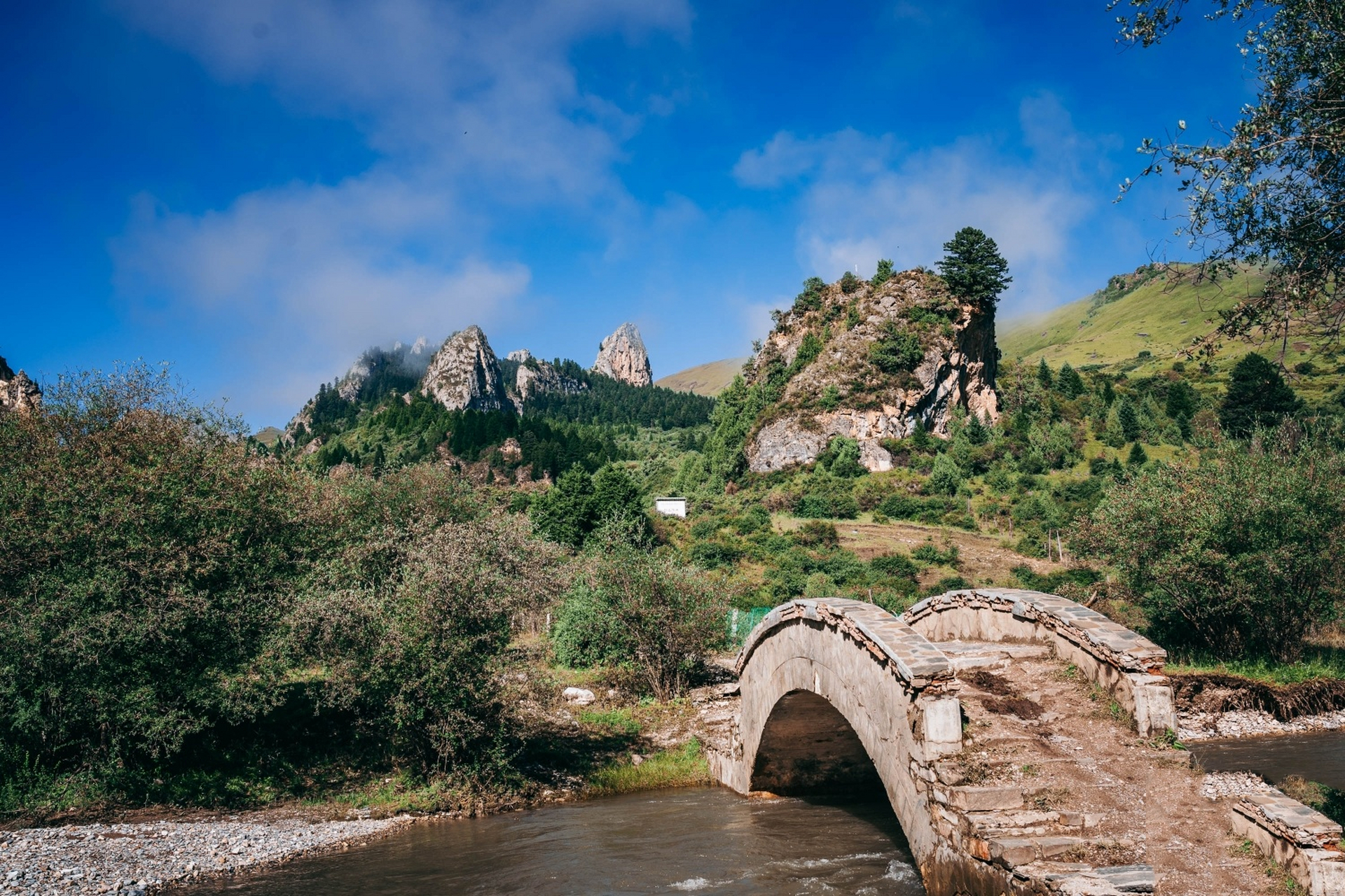 被忽略的国家级自然保护区 则岔石林是碌曲县的三大著名旅游景区之