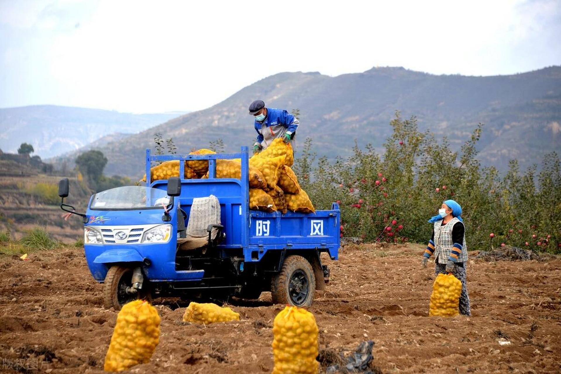 在你们家乡,"炫耀"用方言怎么说甘肃定西方言,"款","不要炫耀"就是"赞
